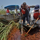Illustration for article titled The Gulf Spill, One Year Later